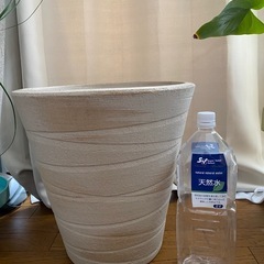 鉢の画像