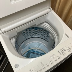 8kg 2024年製 TOSHIBA 洗濯機【F01010】の画像