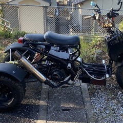 ズーマー　トライクの画像