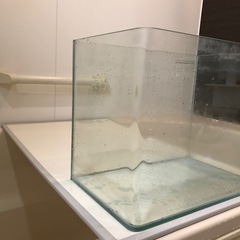 コトブキ工芸　水槽　レグラス300 30センチ　曲げ水槽の画像