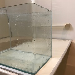 コトブキ工芸　水槽　レグラス300 30センチ　曲げ水槽の画像