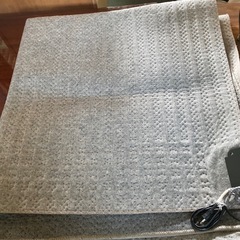 ホットカーペットの画像