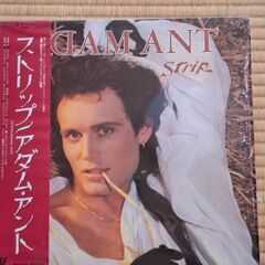 アダム・アントのレコード4枚の画像