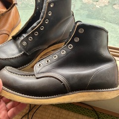 レッドウイングの画像