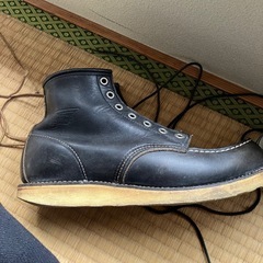 レッドウイングの画像