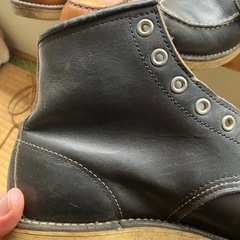 レッドウイングの画像