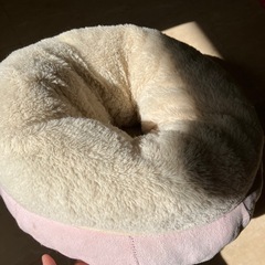 子猫サイズのクッションの画像