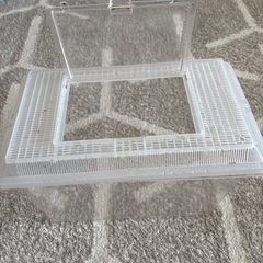 カブトムシカゴ　3個の画像