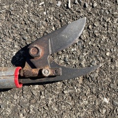 高枝切りの画像