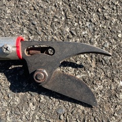 高枝切りの画像