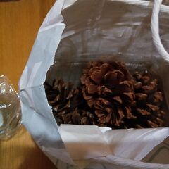 ホットカーラー、額、パソコン用スピーカー、大きな松ぼっくり　いかがでしょうか？の画像