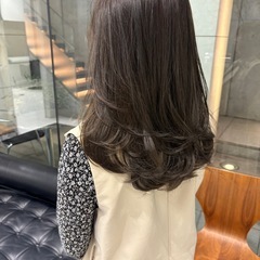 本日‼️11月20日‼️無料カットカラーモデル募集‼️