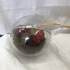 ⭐︎ドリーム2号館⭐︎ ジモティー割引 カプセル 入落花生ドールの画像