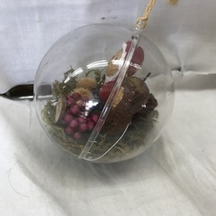 ⭐︎ドリーム2号館⭐︎ ジモティー割引 カプセル 入落花生ドールの画像