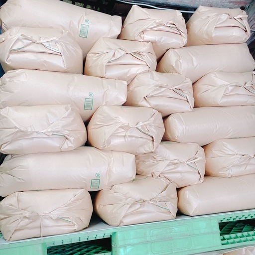 少サイズも可能 新米 もち米 こがねもち 玄米 令和7年