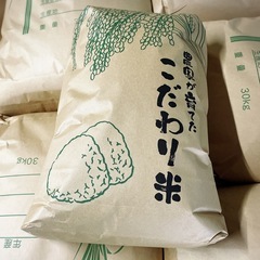 お試し 少サイズ可能 新米 もち米 こがねもち 玄米 白米 令和7年の画像