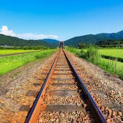 JR西日本大和路線、桜井線の線路の点検、補修工事（軌道工事作業スタッフ）の画像