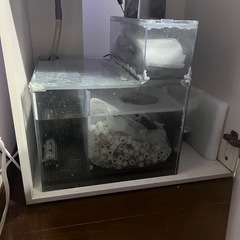 オルカ　90センチオーバーフロー水槽の画像