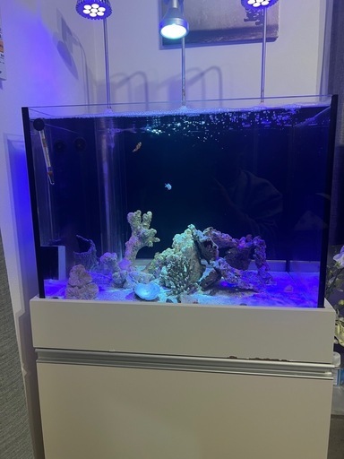 値下げしました。。オルカ　90センチオーバーフロー水槽