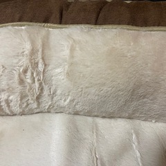 ペット用高反発の画像