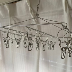 〔未使用〕
ステンレス製　物干しフック　20クリップの画像