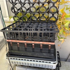 育苗トレーの画像