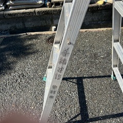 ハセガワ　ハシゴ　の画像