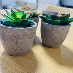 フェイクグリーン ①の画像