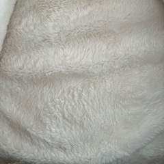 未使用！ペットのベッド犬の画像