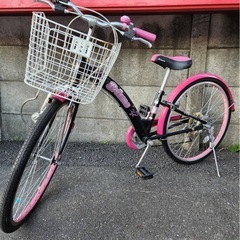 NO:78 子供自転車 BRIANNA ブリアンナ 24インチの画像