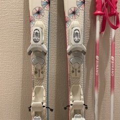 ロシニョールスキー　サロモンスキー靴　スキーセットの画像