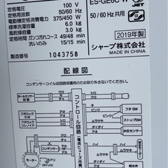 2019年製　SHARP 洗濯機 ES-GE6C 洗濯容量:6.0kgの画像