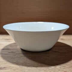 ボーンチャイナ 20cmボウル(フープ)6個セット＆ニトリ特大皿の画像