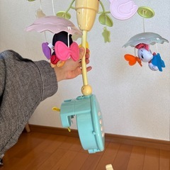 プーメリー　ディズニー　ベビージム　の画像