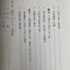 『海辺の憩い  湘南別荘物語』の画像
