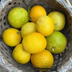 リフォームアドバイザーの画像