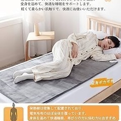 【新品未使用】電気毛布 敷き 洗える 140×80cm 8段階温度 4段階タイマー 速暖の画像