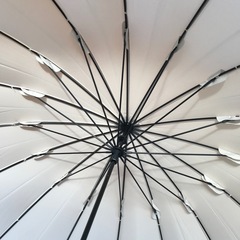 wpc 雨傘　長傘　16本骨の画像