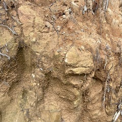 土　赤土　 の画像