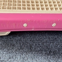 犬のオシッコトレイの画像