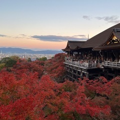 お散歩しませんか？