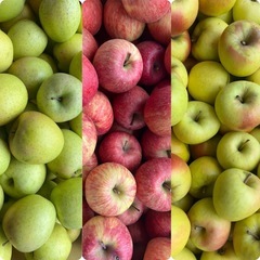 【青森県産】【送料無料】 【産地直送】【サンフジ】【王林】【名月】【家庭用】【簡易梱包】【9玉】の画像