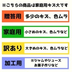 【青森県産】【送料無料】 【産地直送】【サンフジ】【王林】【名月】【家庭用】【簡易梱包】【18玉】の画像
