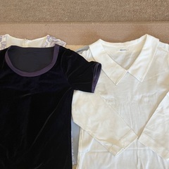 レディーストップスＭ　10枚　200円の画像