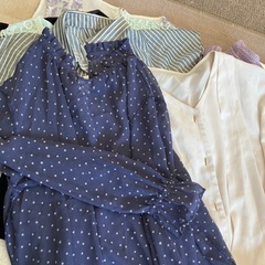 レディーストップスＭ　10枚　200円の画像