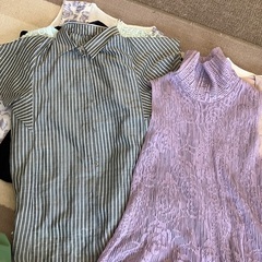 レディーストップスＭ　10枚　200円の画像