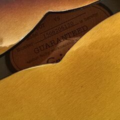 中古 Epiphone DOT VS 2015年 エレキギター Sunburst ヴィンテージサンバースト セミアコ ギグバッグ付き 現状品 エピフォン 札幌市 白石店の画像