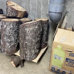 薪、焚き火【決まりました】の画像