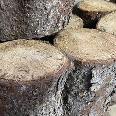 薪、焚き火【決まりました】の画像