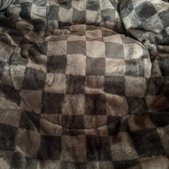 こたつ こたつ布団セットの画像